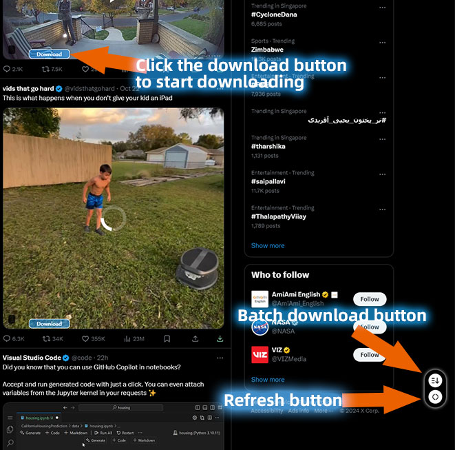 Screenshot of using Twitter Media Downloader plugin